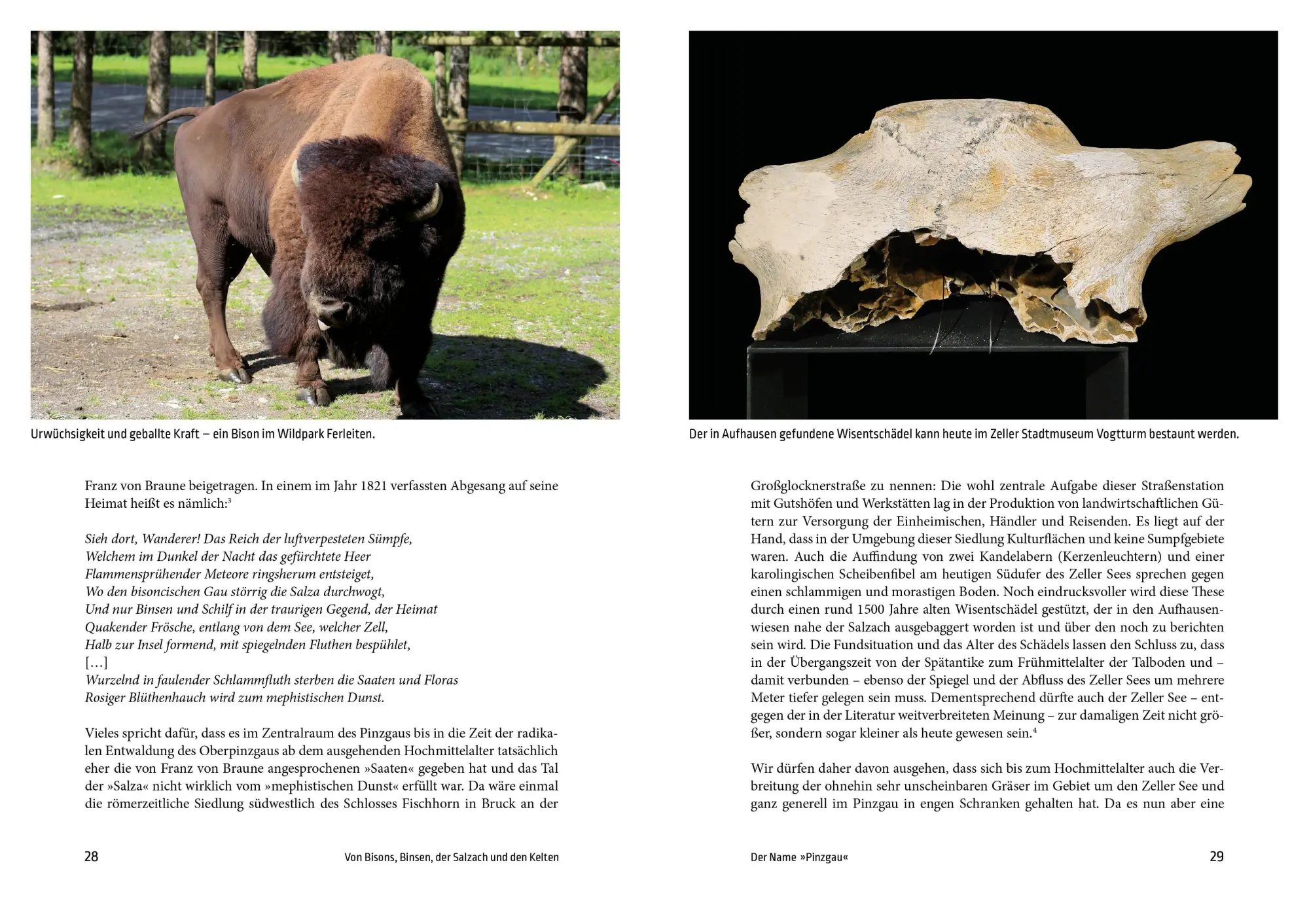 Bild: 9783702512095 | Geschichte des Pinzgaus | Rainer Hochhold | Taschenbuch | 272 S.