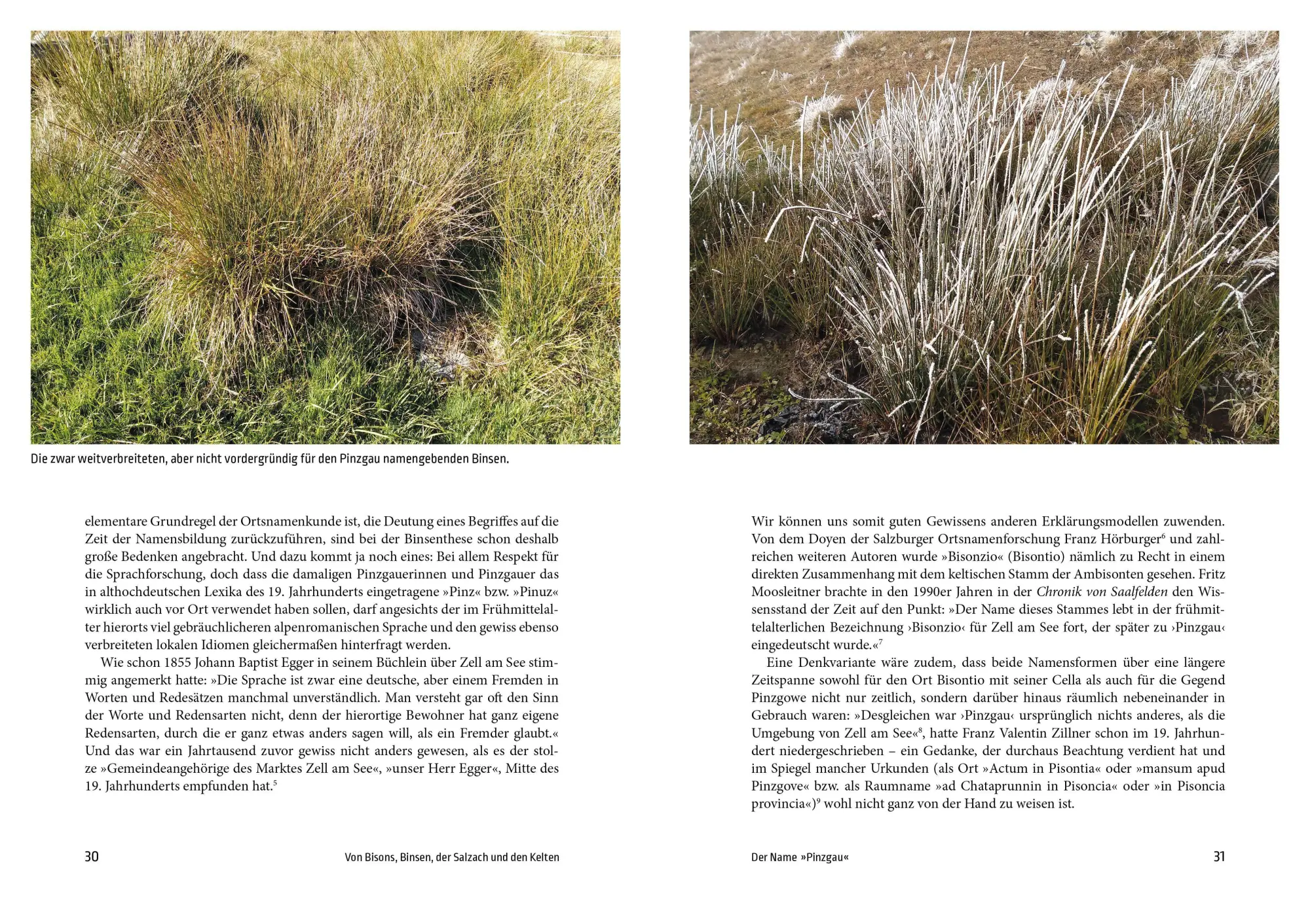 Bild: 9783702512095 | Geschichte des Pinzgaus | Rainer Hochhold | Taschenbuch | 272 S.