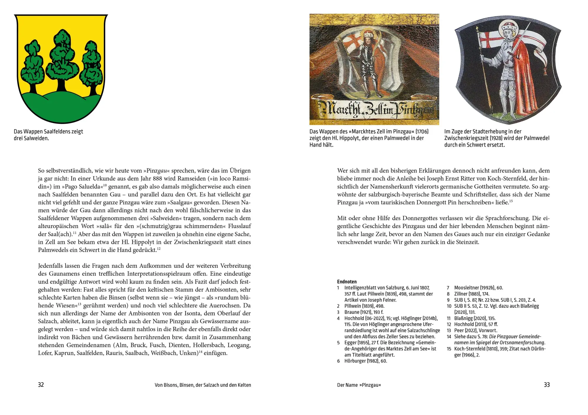 Bild: 9783702512095 | Geschichte des Pinzgaus | Rainer Hochhold | Taschenbuch | 272 S.