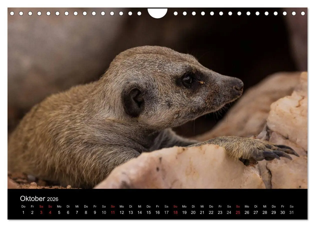 Bild: 9783516172195 | Wunderschönes Namibia (Wandkalender 2026 DIN A4 quer), CALVENDO...