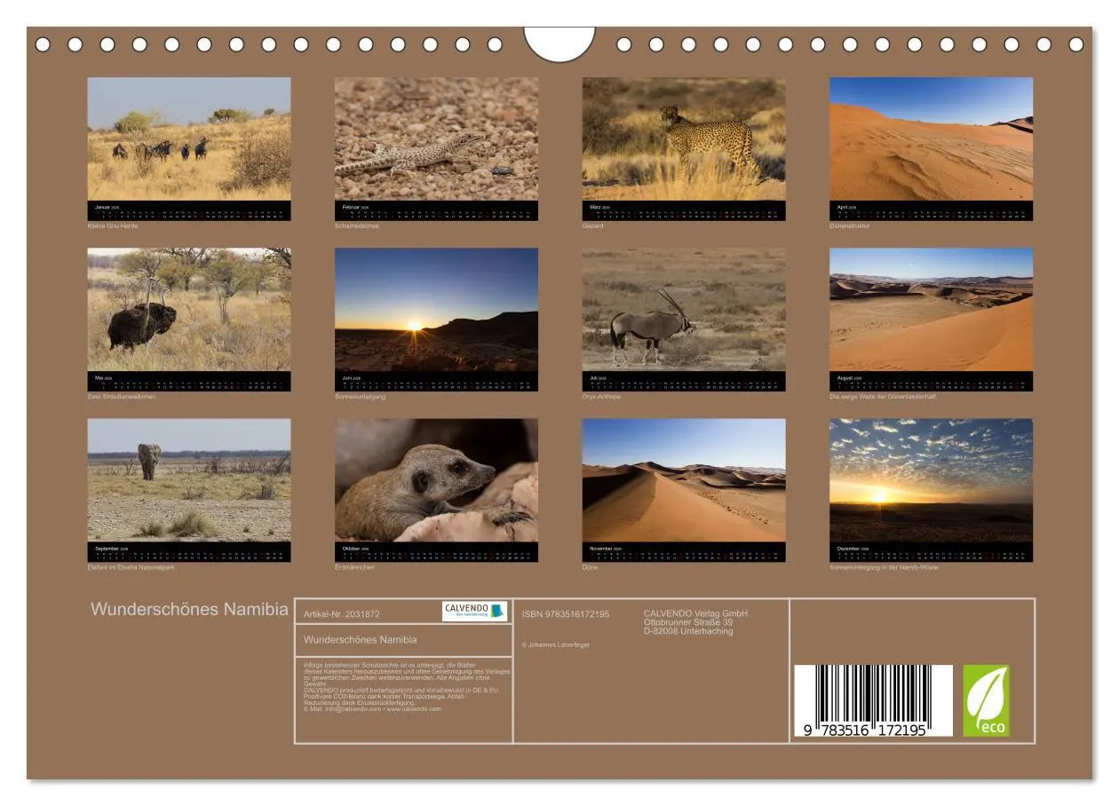 Bild: 9783516172195 | Wunderschönes Namibia (Wandkalender 2026 DIN A4 quer), CALVENDO...