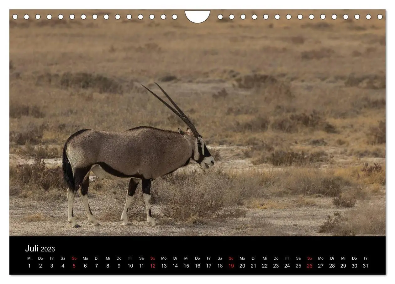 Bild: 9783516172195 | Wunderschönes Namibia (Wandkalender 2026 DIN A4 quer), CALVENDO...