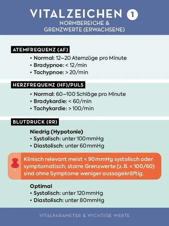 Bild: 9783745932195 | Kartenset: Pflege to go - Notfallmaßnahmen, klinisches Wissen und...