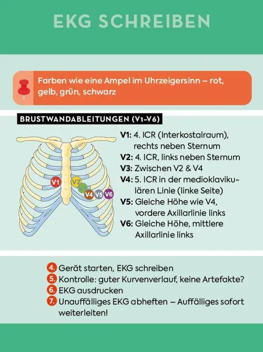 Bild: 9783745932195 | Kartenset: Pflege to go - Notfallmaßnahmen, klinisches Wissen und...