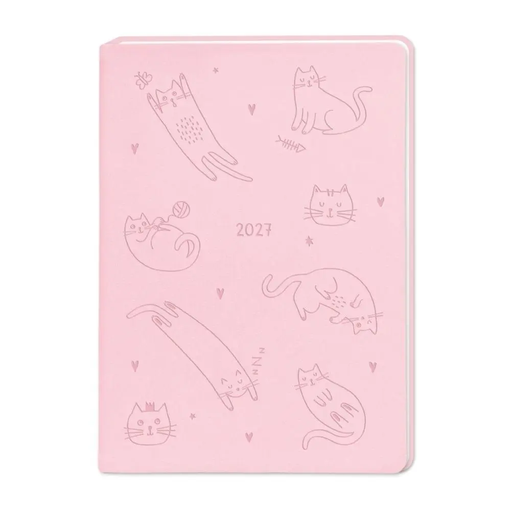 Cover: 9783986362195 | Terminplaner Lederlook 2027 Rosa | Terminplaner Lederlook A6 | Buch