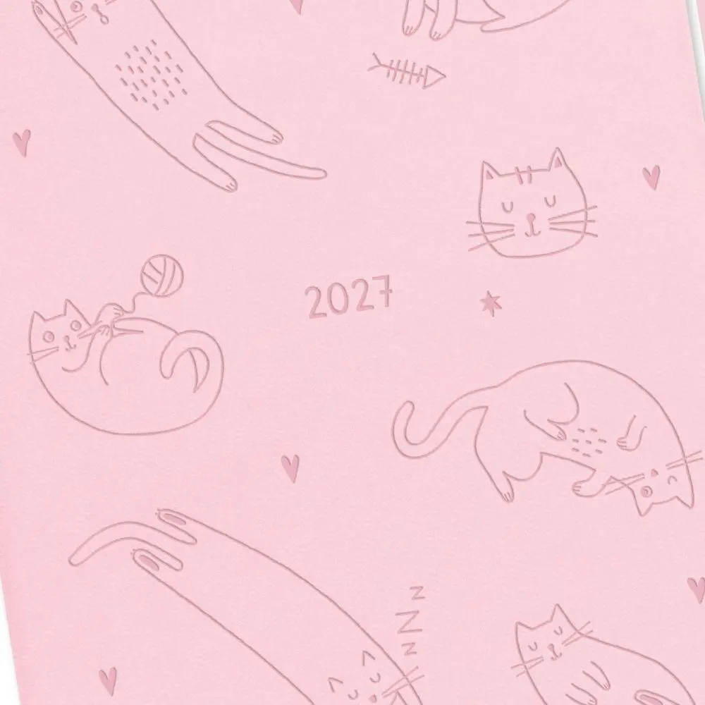 Bild: 9783986362195 | Terminplaner Lederlook 2027 Rosa | Terminplaner Lederlook A6 | Buch