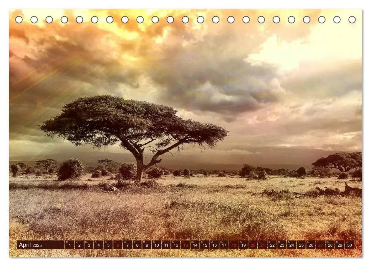 Bild: 9783435742295 | Afrika. Zauber des schwarzen Kontinents (Tischkalender 2025 DIN A5...