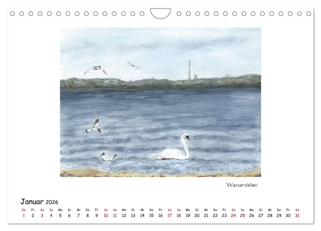 Bild: 9783457832295 | Die Flensburger Förde (Wandkalender 2026 DIN A4 quer), CALVENDO...