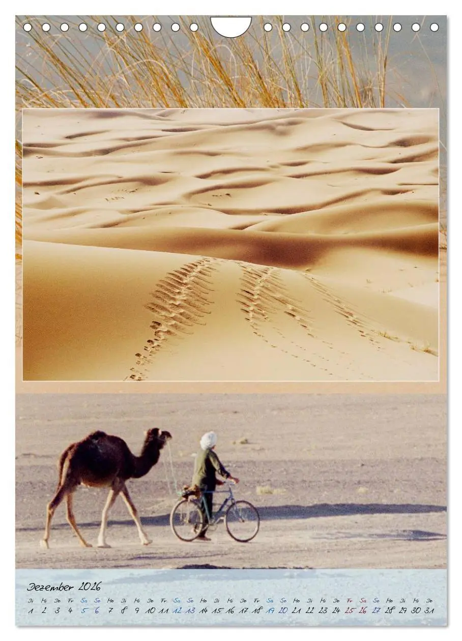 Bild: 9783516472295 | Lieblingsland Marokko (Wandkalender 2026 DIN A4 hoch), CALVENDO...