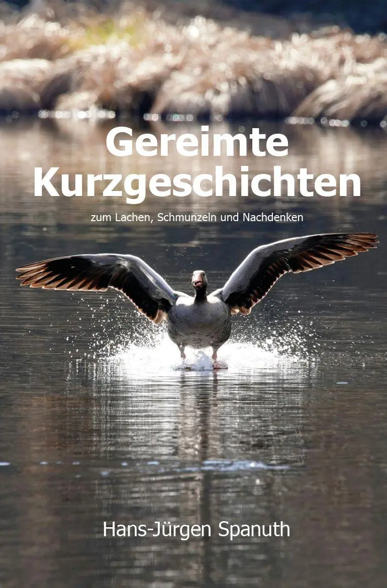 Gereimte Kurzgeschichten