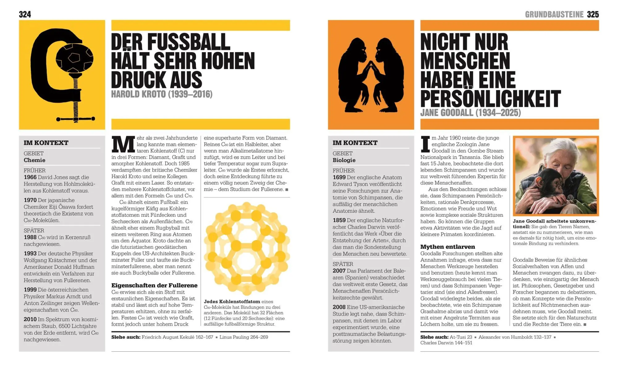Bild: 9783831052295 | Big Ideas. Das Wissenschafts-Buch | John Farndon (u. a.) | Buch | 2026