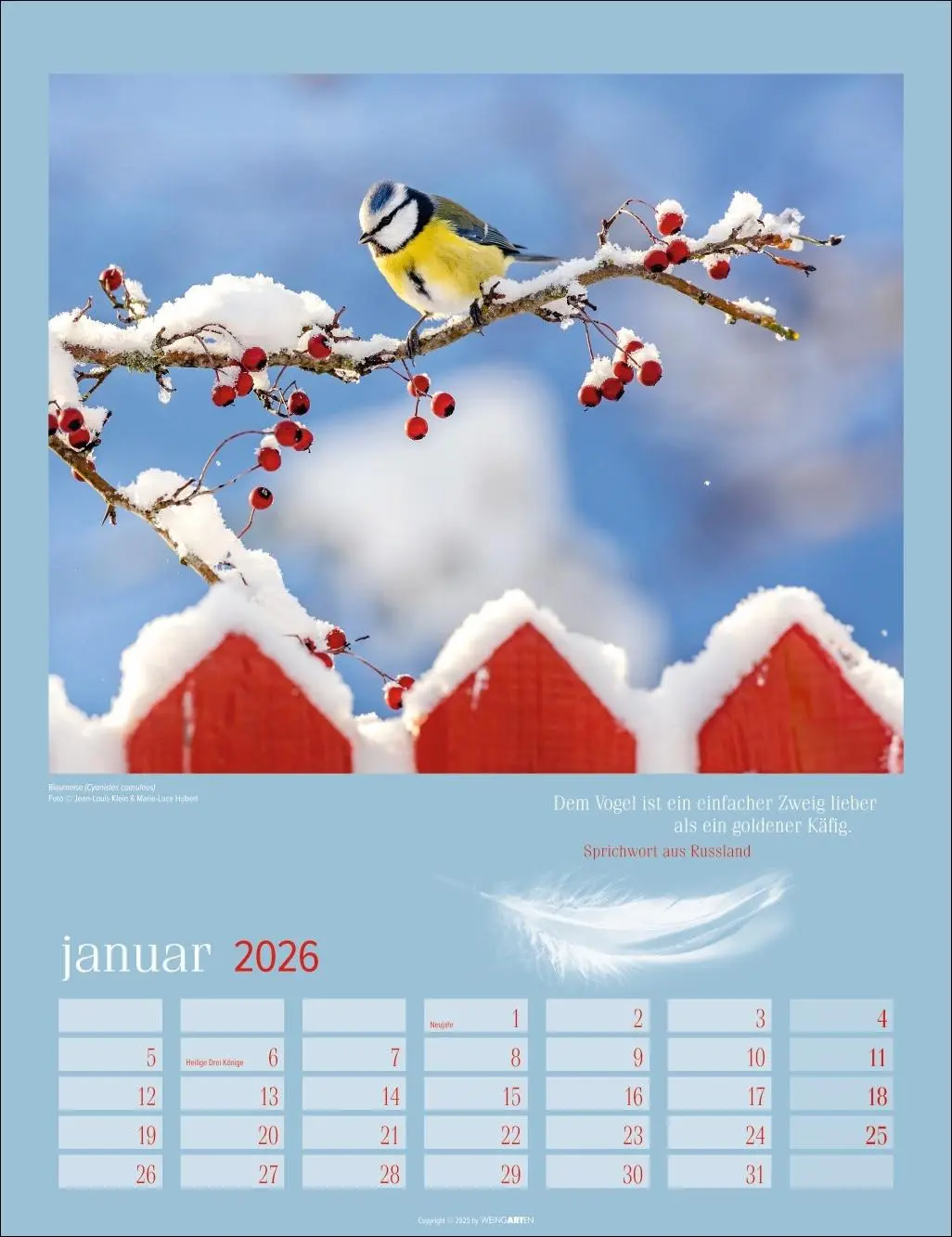 Bild: 9783839902295 | Heimische Vögel Kalender 2026 | Kalender | Tierkalender Weingarten