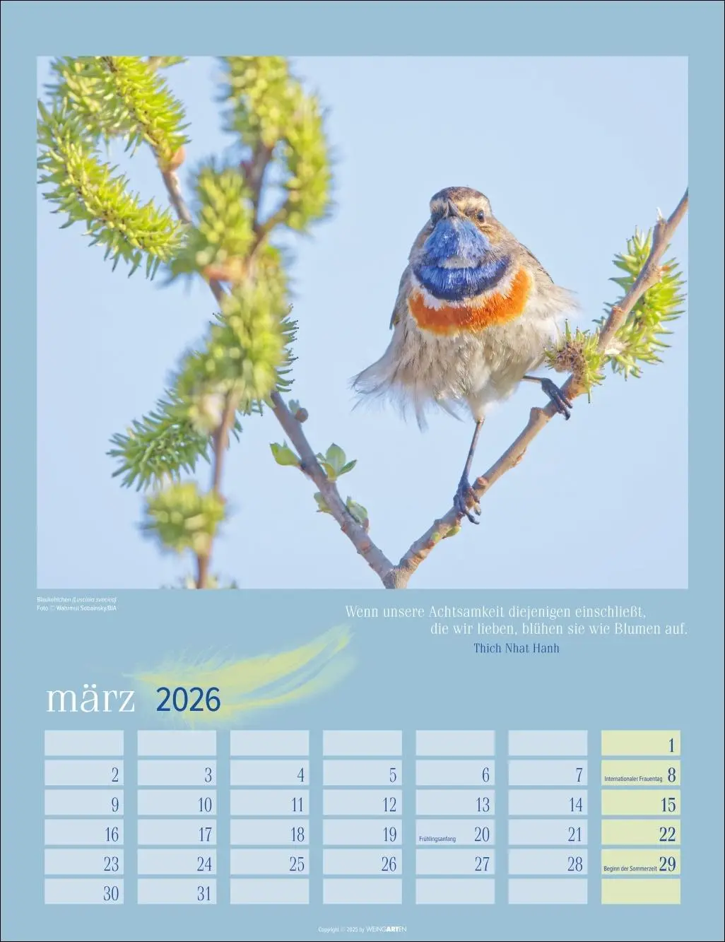 Bild: 9783839902295 | Heimische Vögel Kalender 2026 | Kalender | Tierkalender Weingarten