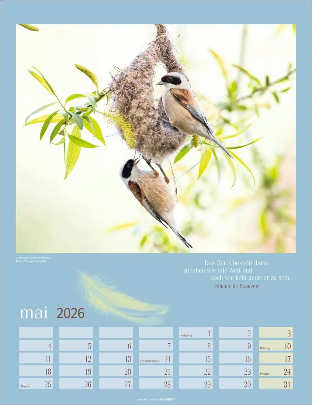 Bild: 9783839902295 | Heimische Vögel Kalender 2026 | Kalender | Tierkalender Weingarten