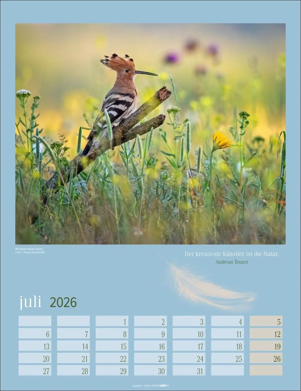 Bild: 9783839902295 | Heimische Vögel Kalender 2026 | Kalender | Tierkalender Weingarten