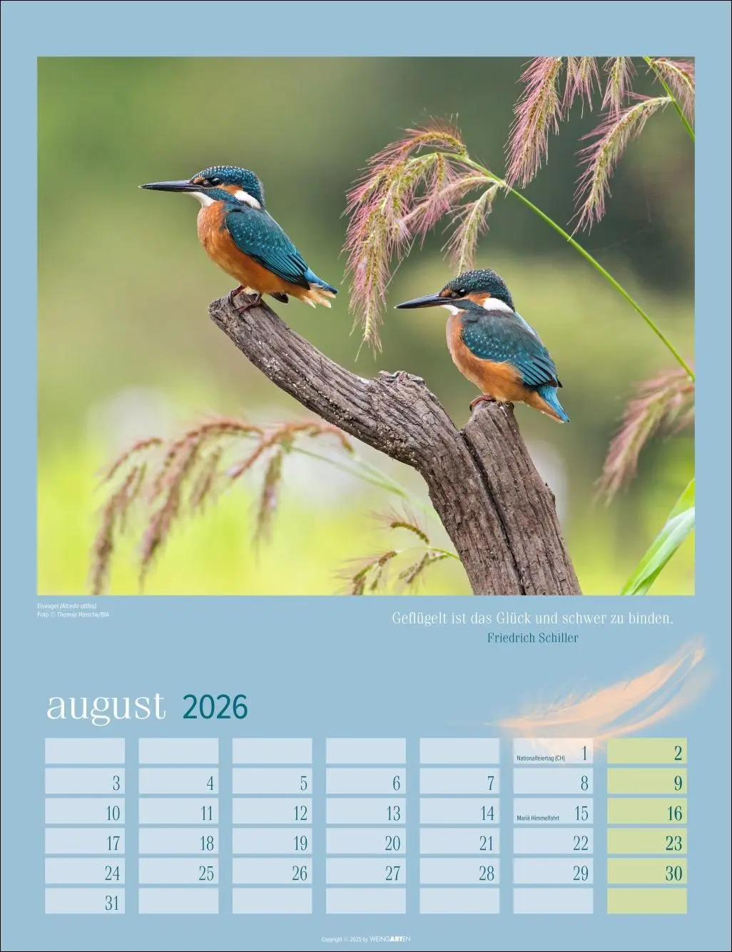 Bild: 9783839902295 | Heimische Vögel Kalender 2026 | Kalender | Tierkalender Weingarten
