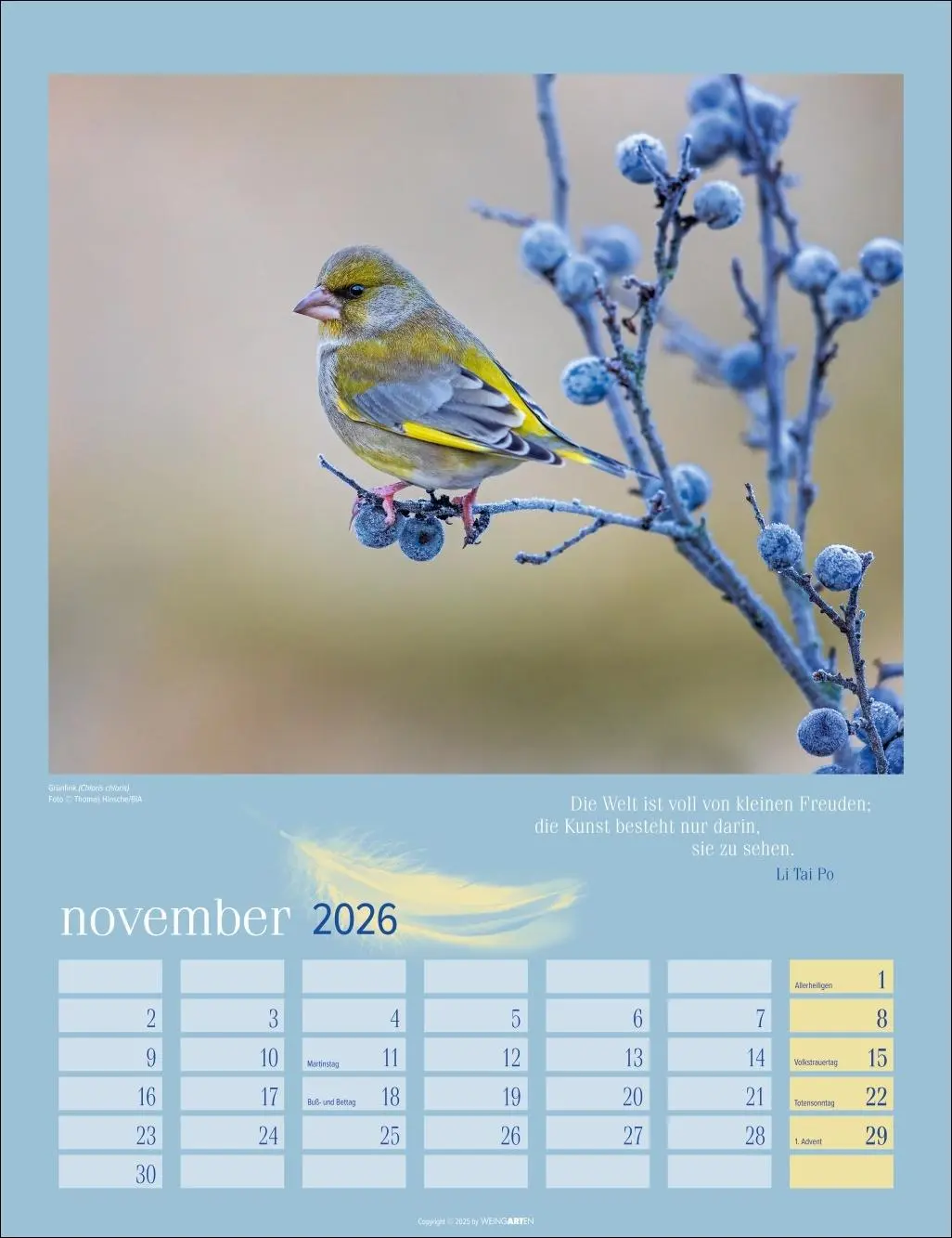 Bild: 9783839902295 | Heimische Vögel Kalender 2026 | Kalender | Tierkalender Weingarten