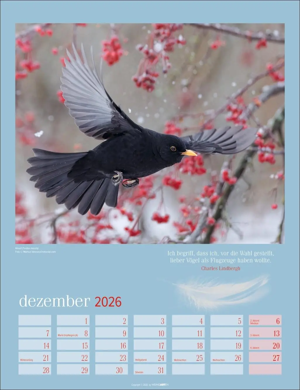 Bild: 9783839902295 | Heimische Vögel Kalender 2026 | Kalender | Tierkalender Weingarten