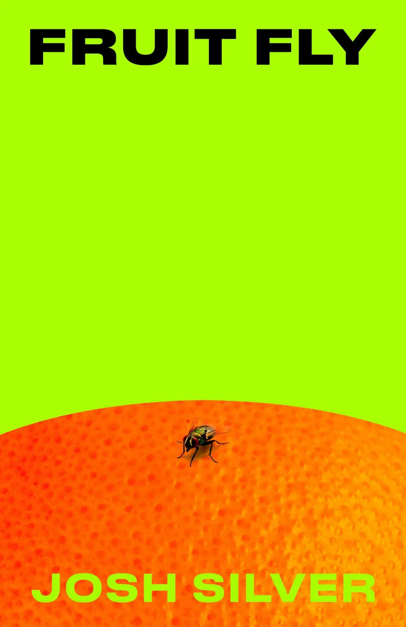 Cover: 9781836432395 | Fruit Fly | Josh Silver | Taschenbuch | 416 S. | Englisch | 2026