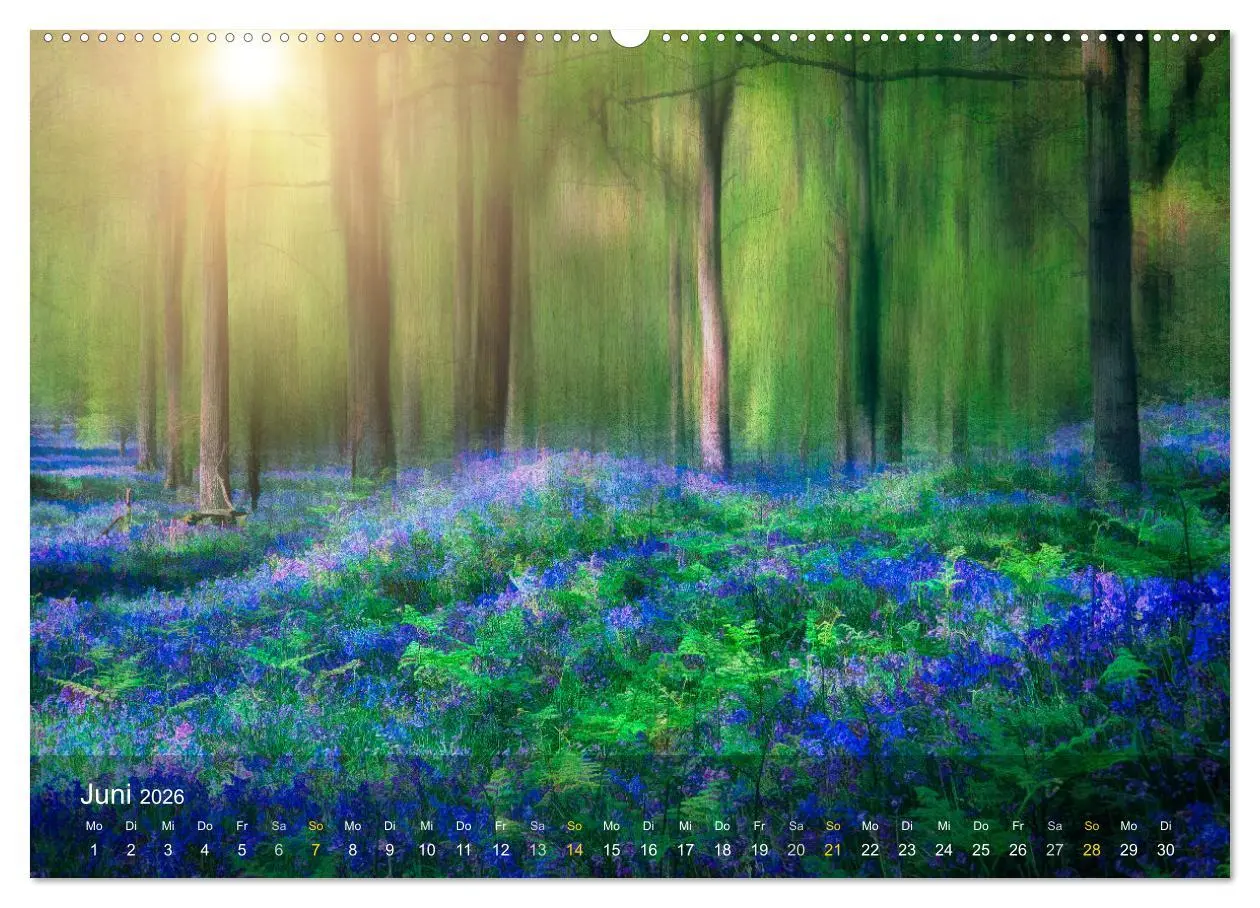 Bild: 9783457512395 | Das Schweigen der Bäume (hochwertiger Premium Wandkalender 2026 DIN...