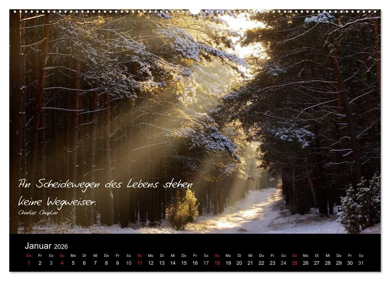 Bild: 9783516152395 | Poetische Wege (hochwertiger Premium Wandkalender 2026 DIN A2...