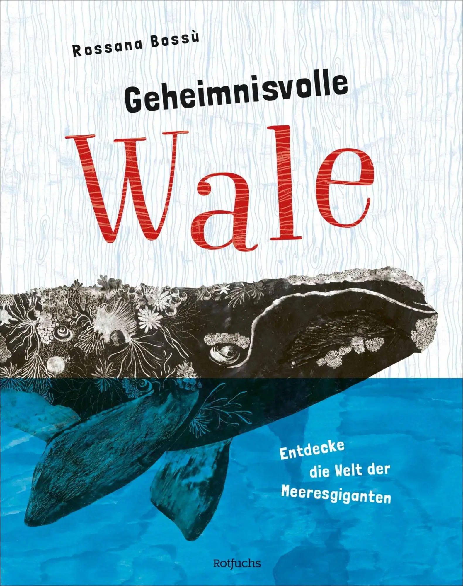 Geheimnisvolle Wale - Entdecke die Welt der Meeresgiganten