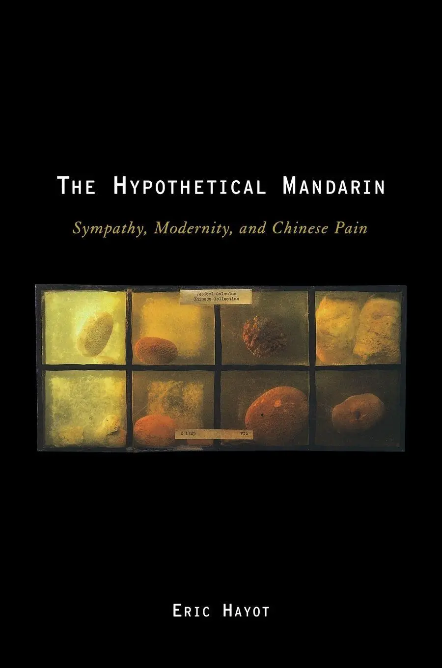 Cover: 9780195382495 | Hypothetical Mandarin | Sympathy, Modernity, and Chinese Pain | Hayot