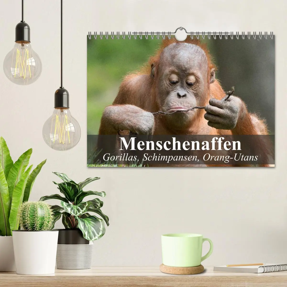 Bild: 9783516072495 | Menschenaffen. Gorillas, Schimpansen, Orang-Utans (Wandkalender...