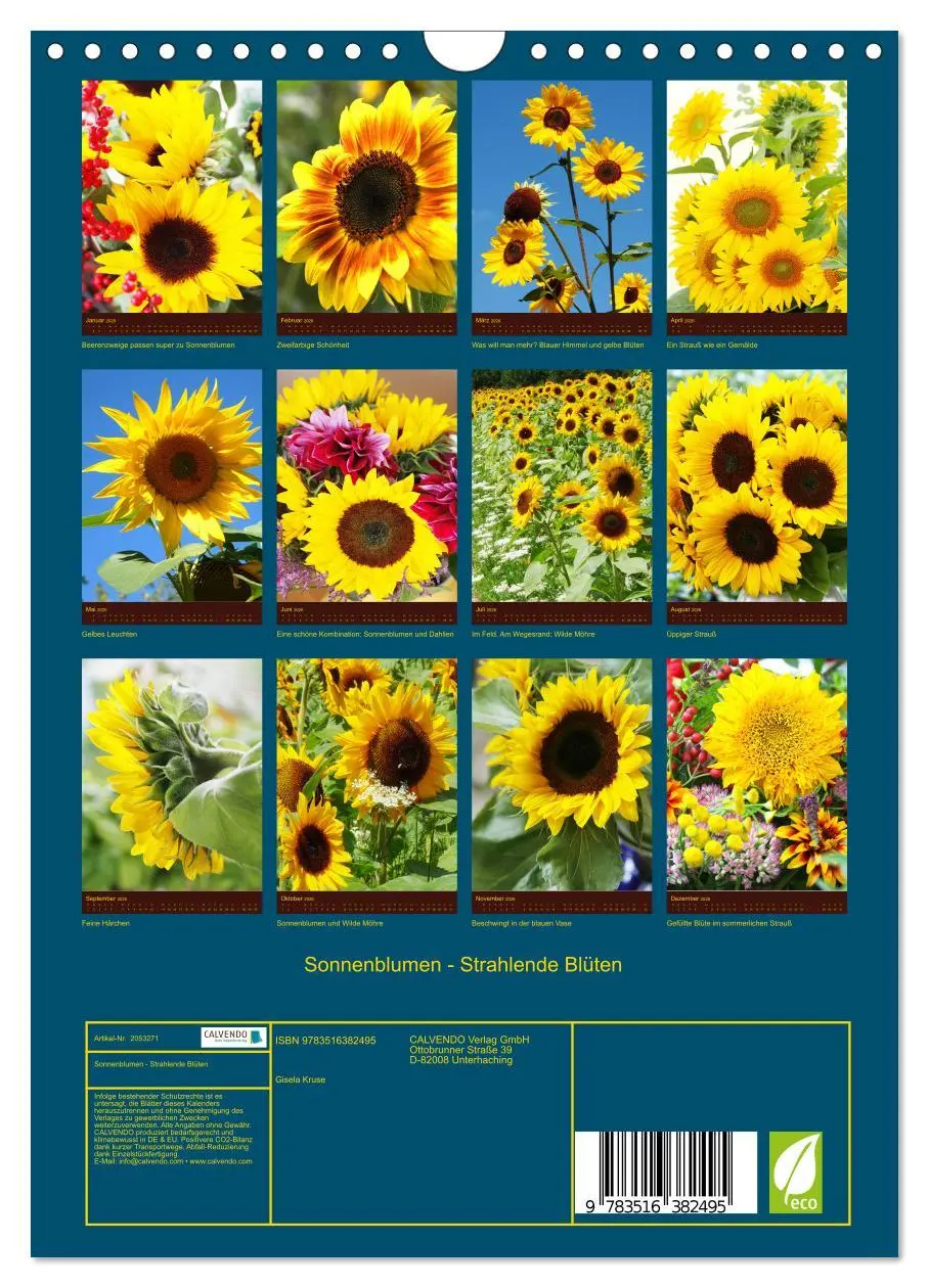 Bild: 9783516382495 | Sonnenblumen - Strahlende Blüten (Wandkalender 2026 DIN A4 hoch),...