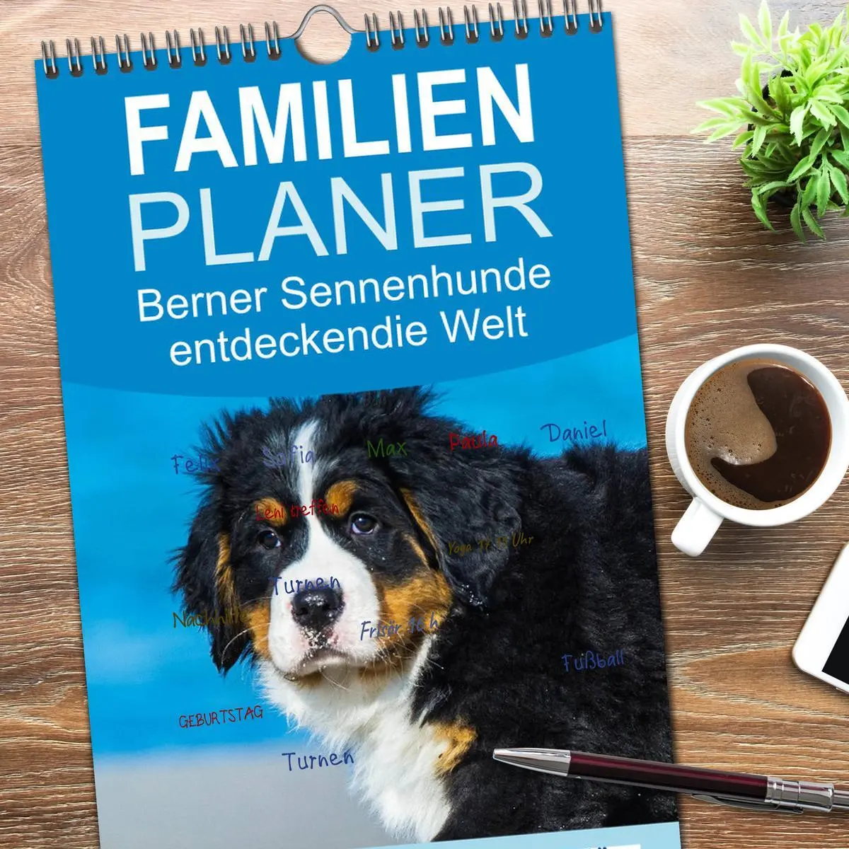 Bild: 9783516522495 | Familienplaner 2026 - Seebärchen entdecken die Welt - Berner...