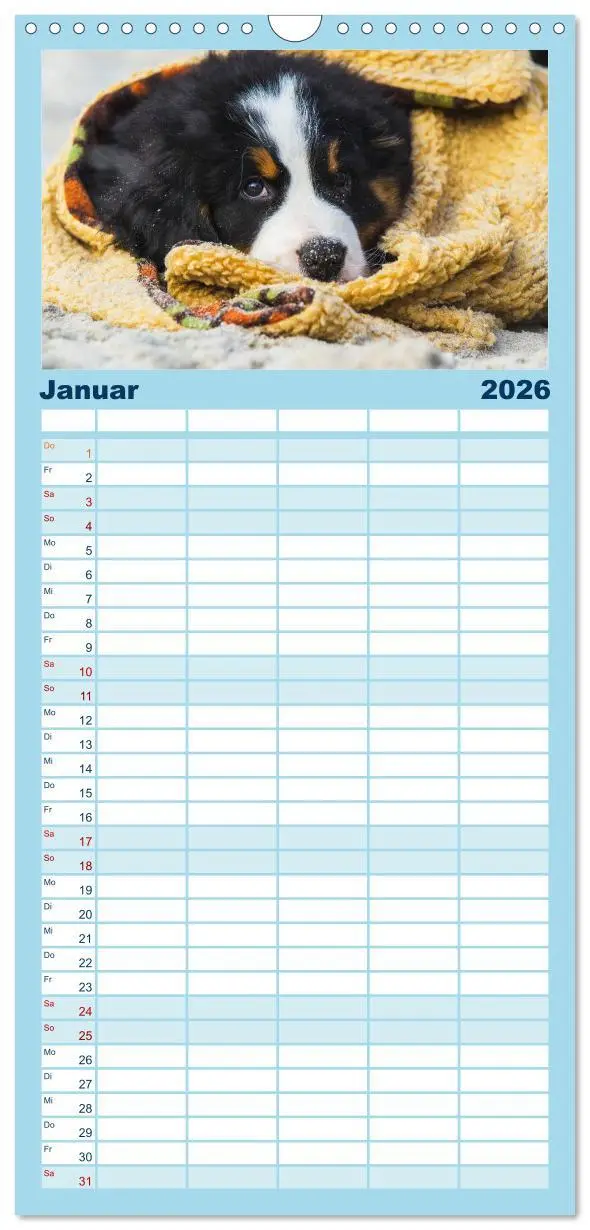Bild: 9783516522495 | Familienplaner 2026 - Seebärchen entdecken die Welt - Berner...