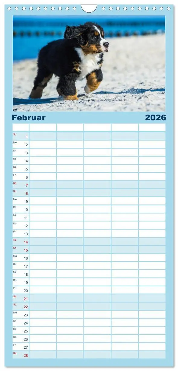 Bild: 9783516522495 | Familienplaner 2026 - Seebärchen entdecken die Welt - Berner...