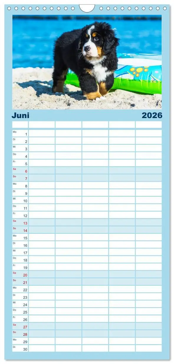 Bild: 9783516522495 | Familienplaner 2026 - Seebärchen entdecken die Welt - Berner...