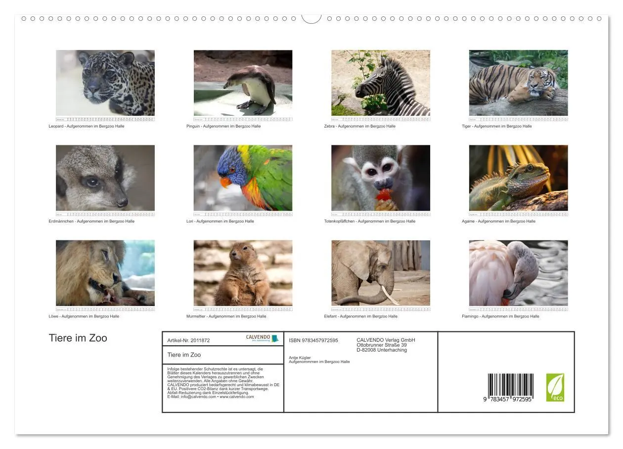 Bild: 9783457972595 | Tiere im Zoo (hochwertiger Premium Wandkalender 2026 DIN A2 quer),...