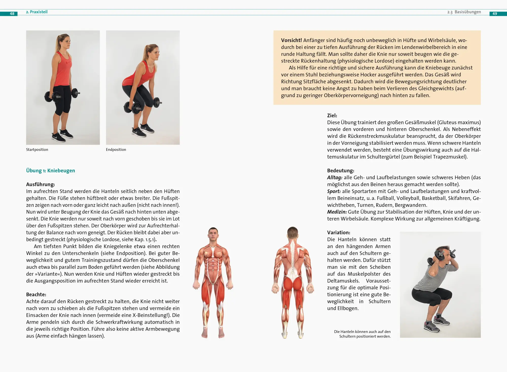 Bild: 9783767912595 | Kurzhantel-Training | Jan Pauls | Taschenbuch | 152 S. | Deutsch