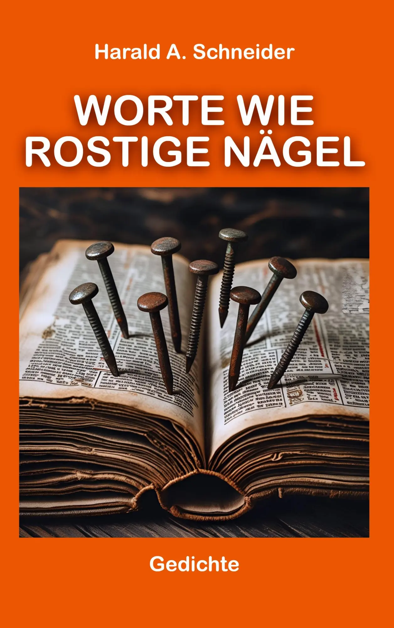 Cover: 9783819242595 | Worte wie rostige Nägel | Harald A. Schneider | Buch | 96 S. | Deutsch