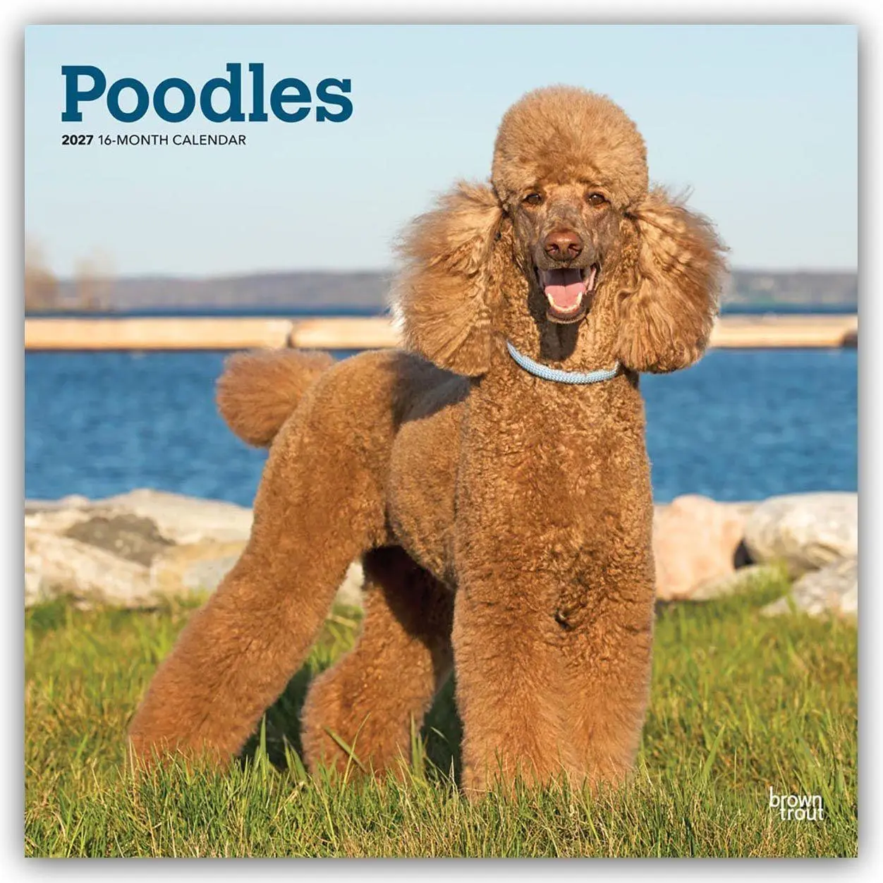 Cover: 9798330712595 | Poodles - Pudel 2027 - 16-Monatskalender | Browntrout Publishers