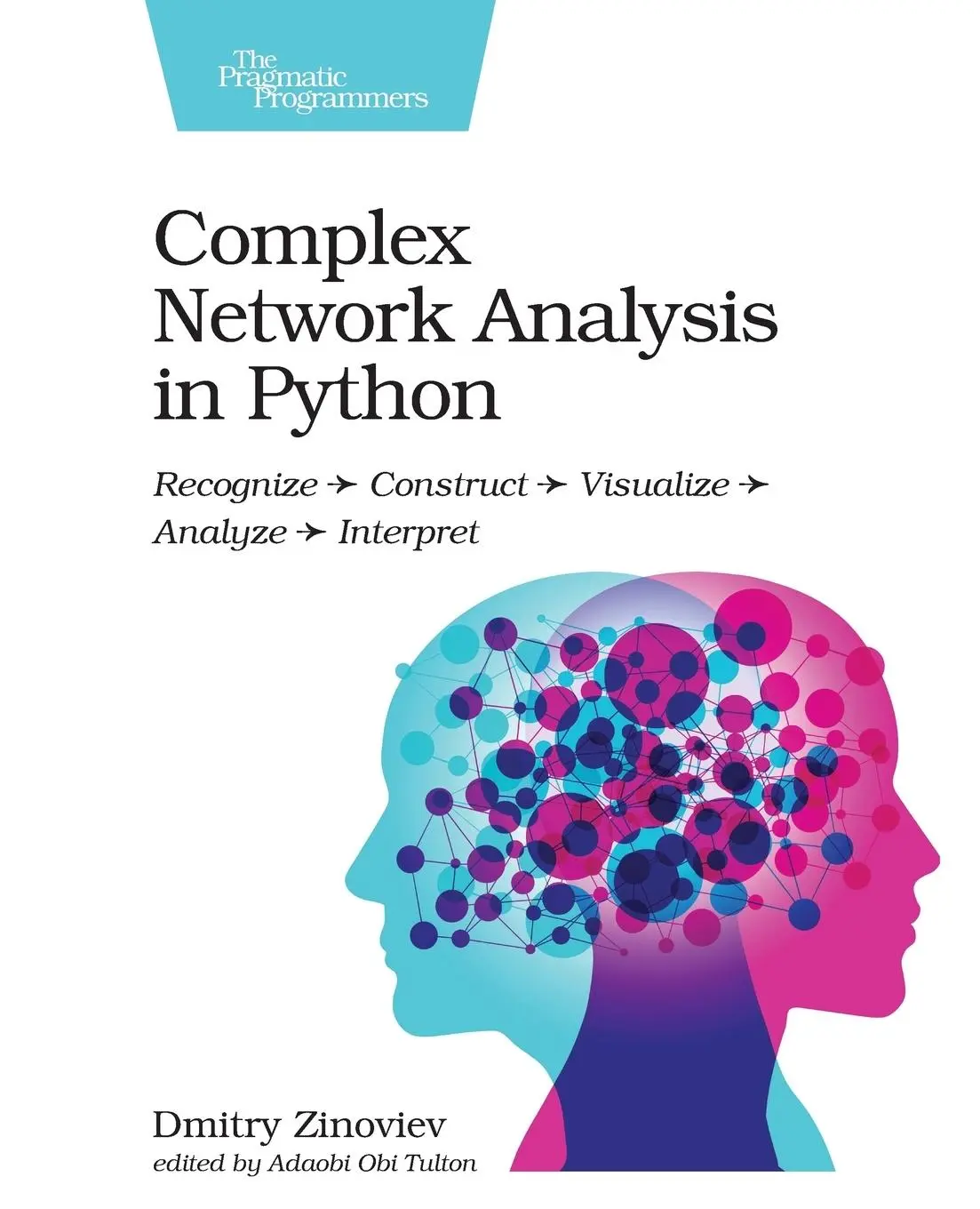 Cover: 9781680502695 | Complex Network Analysis in Python | Dmitry Zinoviev | Taschenbuch