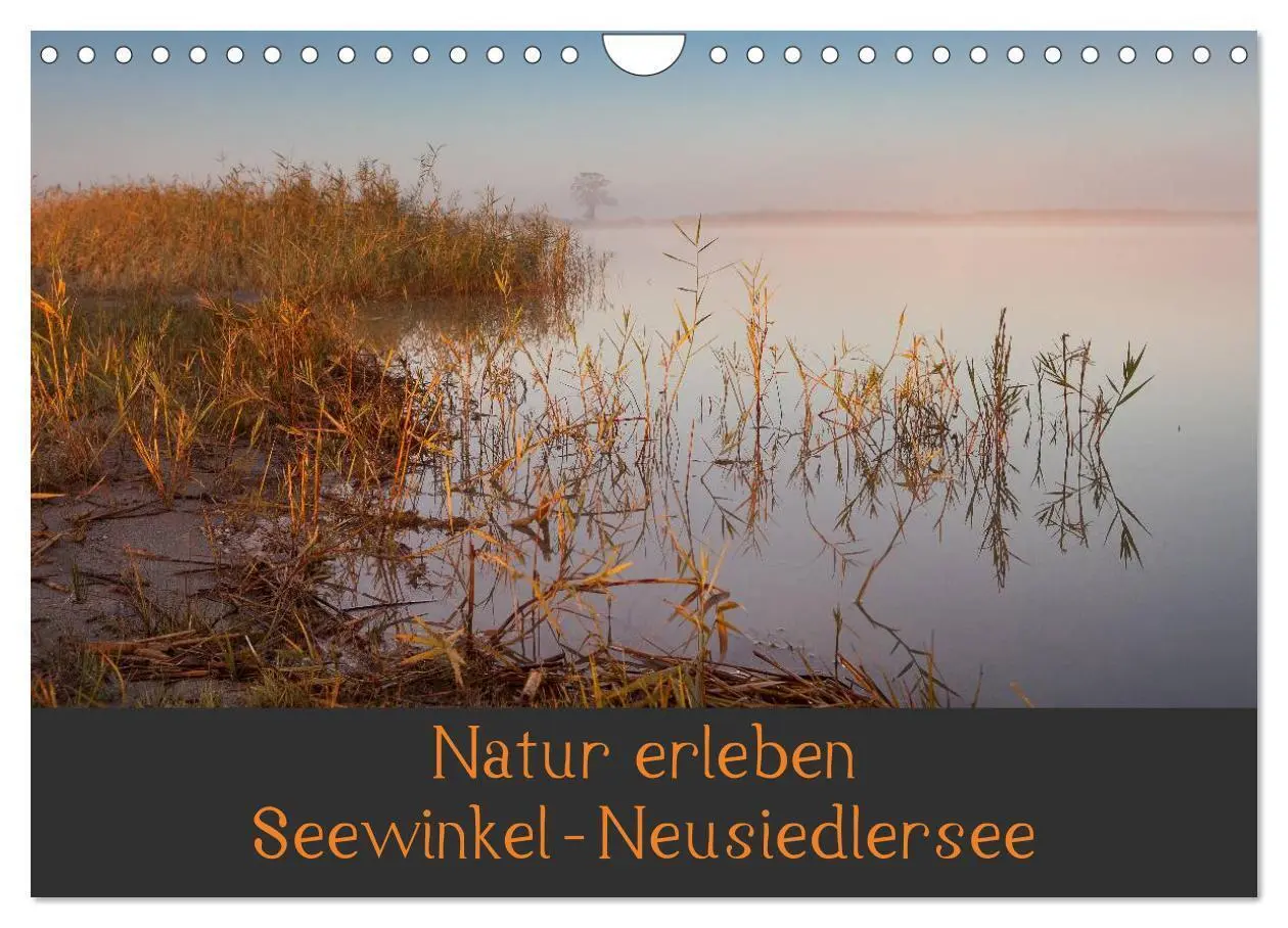 Cover: 9783435492695 | Natur erleben Seewinkel-Neusiedlersee (Wandkalender 2025 DIN A4...