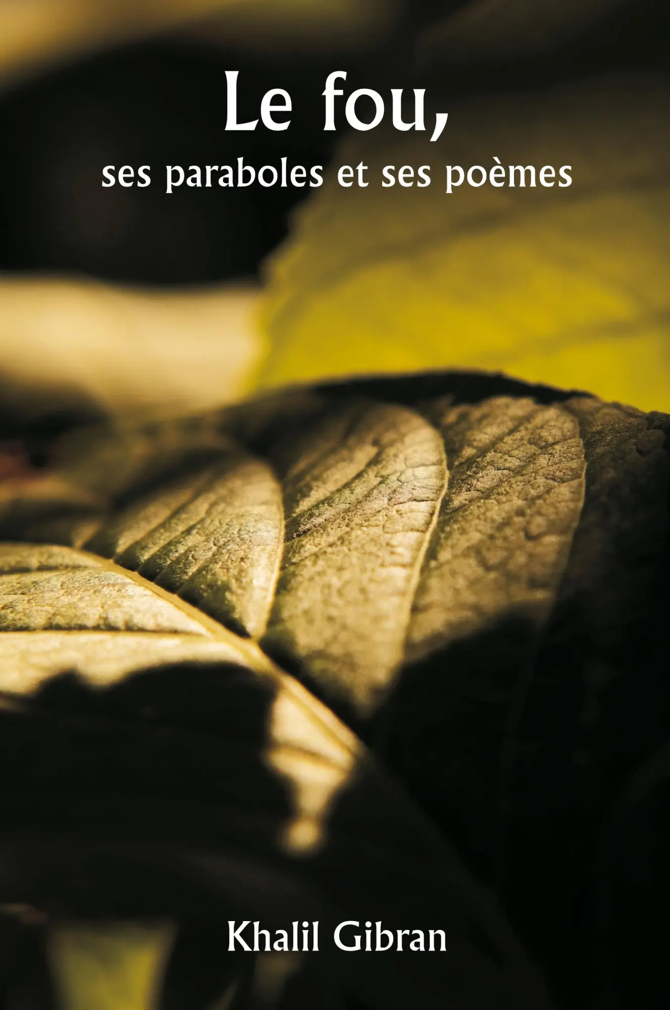 Cover: 9789358812695 | Le fou, ses paraboles et ses poèmes | Khalil Gibran | Taschenbuch