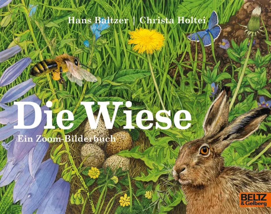 Cover: 9783407762795 | Die Wiese | Ein Zoom-Bilderbuch | Hans Baltzer (u. a.) | Taschenbuch