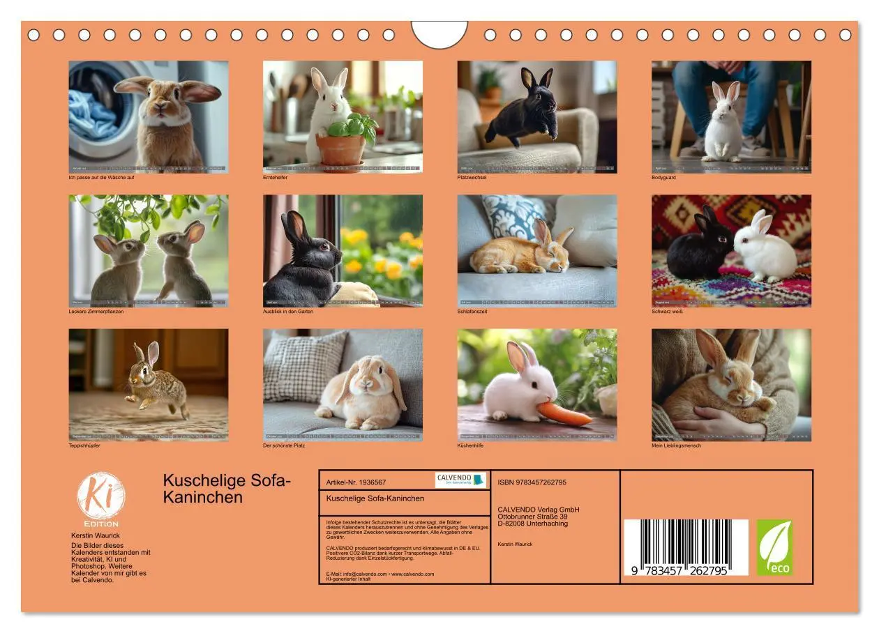 Bild: 9783457262795 | Kuschelige Sofa-Kaninchen (Wandkalender 2026 DIN A4 quer), CALVENDO...