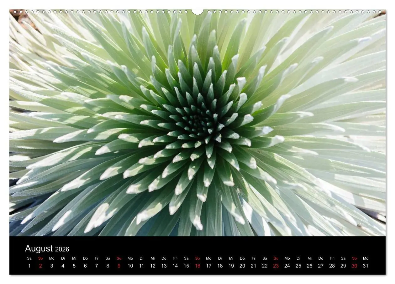Bild: 9783516112795 | Hawaii - Oahu - Maui (hochwertiger Premium Wandkalender 2026 DIN A2...