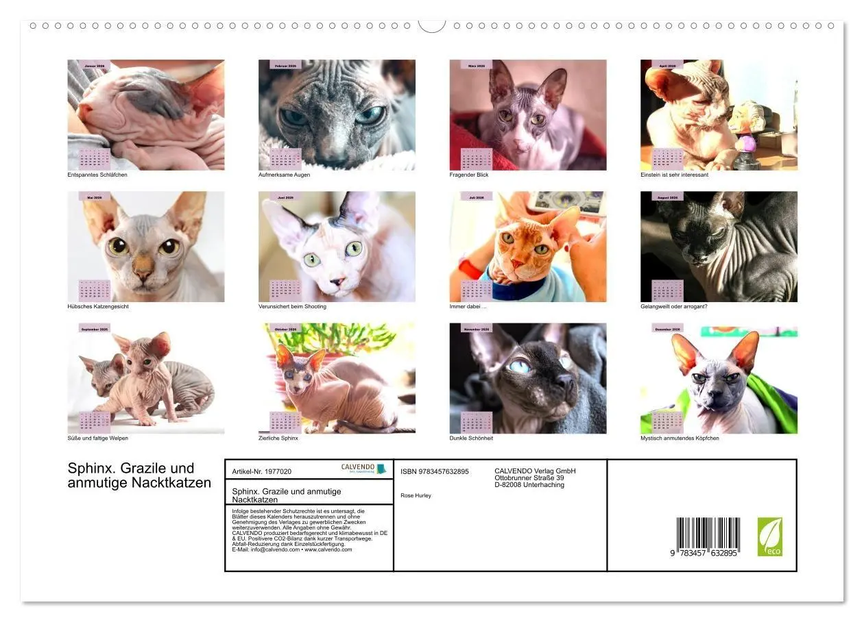 Bild: 9783457632895 | Sphinx. Grazile und anmutige Nacktkatzen (Wandkalender 2026 DIN A2...
