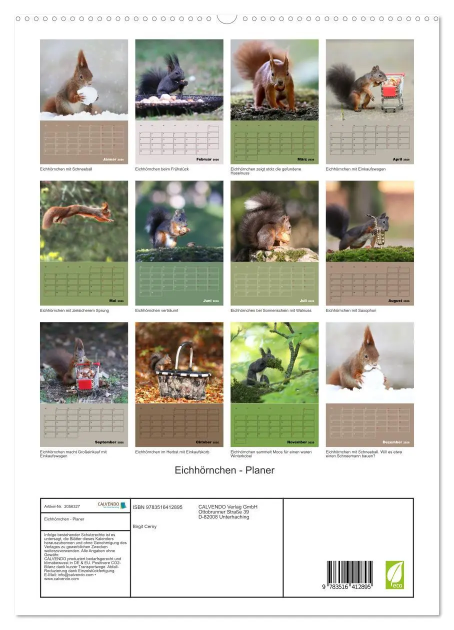 Bild: 9783516412895 | Eichhörnchen - Planer (hochwertiger Premium Wandkalender 2026 DIN...