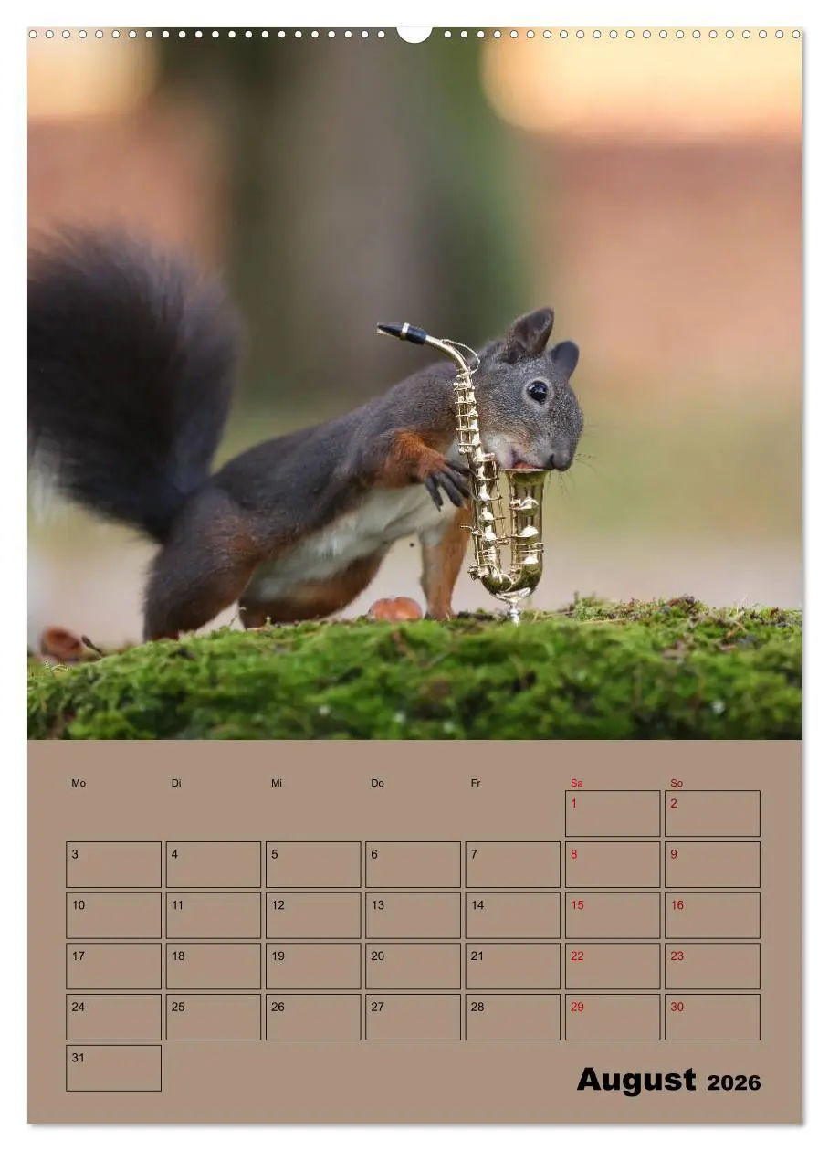Bild: 9783516412895 | Eichhörnchen - Planer (hochwertiger Premium Wandkalender 2026 DIN...