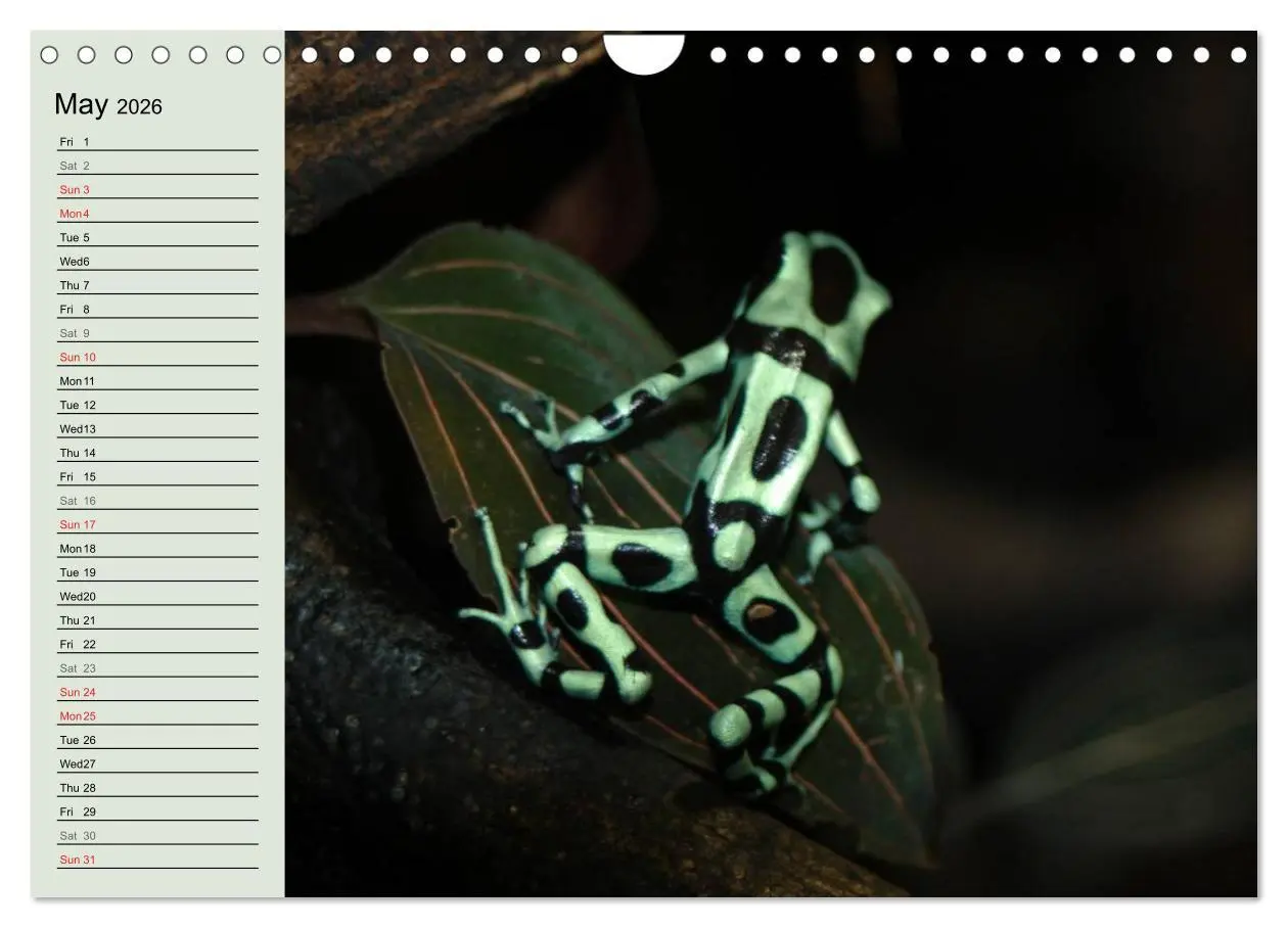Bild: 9783516582895 | Poison dart frogs / UK-Version / Birthday Calendar (Wall Calendar...