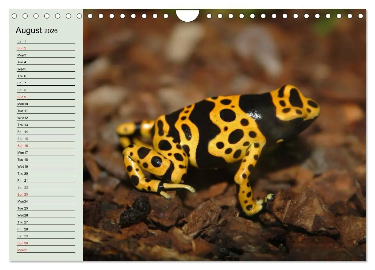 Bild: 9783516582895 | Poison dart frogs / UK-Version / Birthday Calendar (Wall Calendar...