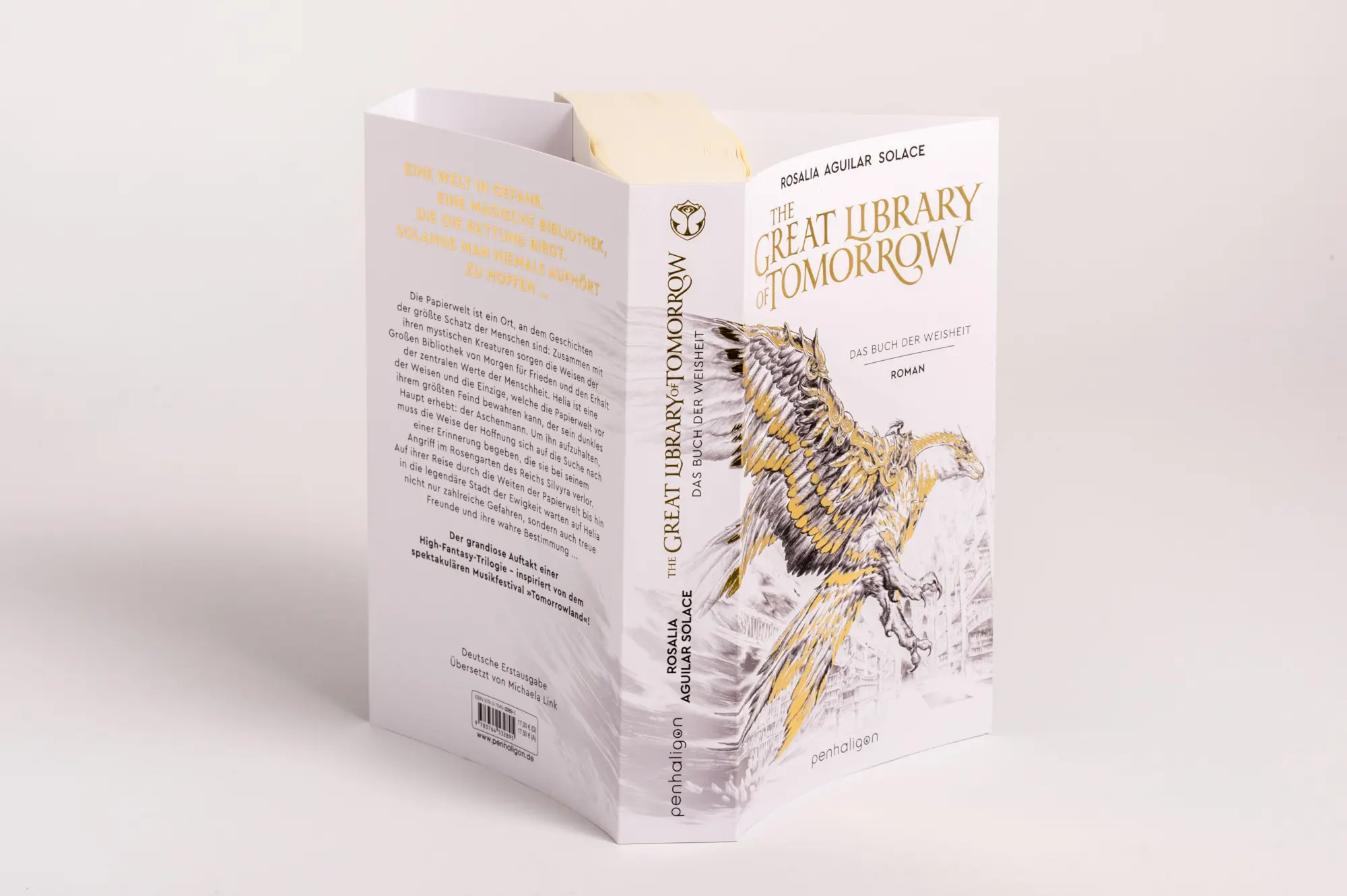 Bild: 9783764532895 | The Great Library Of Tomorrow | Rosalia Aguilar Solace | Taschenbuch