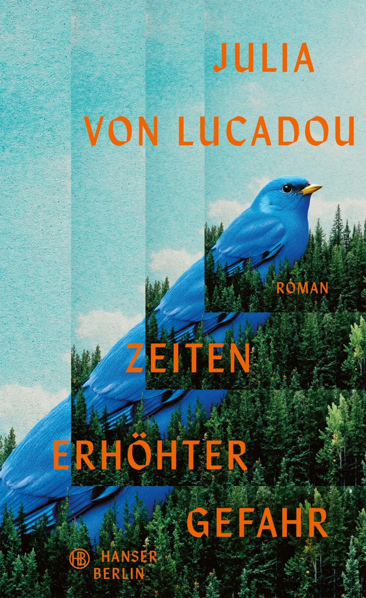 Cover: 9783446282995 | Zeiten erhöhter Gefahr | Roman | Julia von Lucadou | Buch | 224 S.